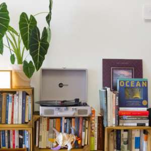 Vol.33 十年租房党终极清单：从开荒保洁到幸福好物