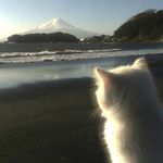 澜海对面