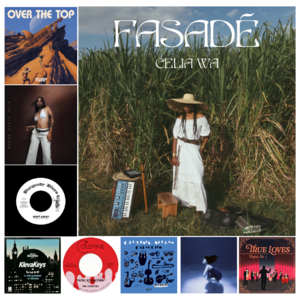 Episode 7 周一止痛剂