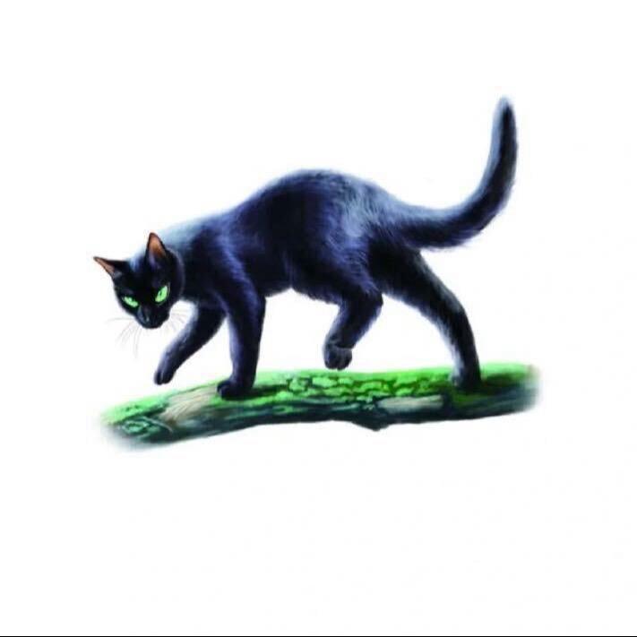 podcast-avatar