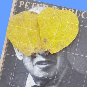 006.AI时代，知识工作者的权力迭代