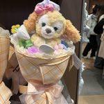 又又姐姐