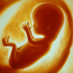 3岁儿童能谈论前世记忆？他花了50年研究