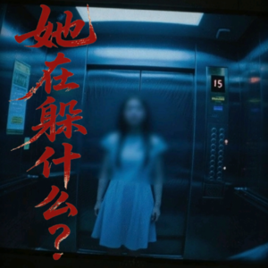 《蓝可儿事件：电梯监控背后的死亡迷案》