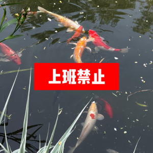 Vol.7 我呀，不是咱们大地球最后一个不上班的人嘛