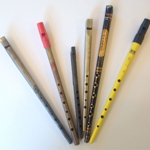 「第88件小众乐器」治愈人心的音乐魔法棒 | 爱尔兰哨笛