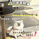 17.小嘴儿甜如蜜：对我而言，你超有名！