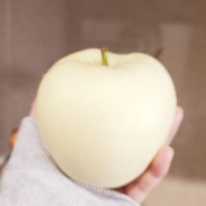 颇有「微」词005:播客、阅读、旅行，2024我们也在学着好好生活