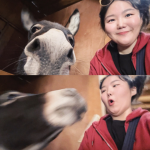 21. 被黑山遣返后，我再次勇闯了！附：阿尔巴尼亚跨年奇遇记