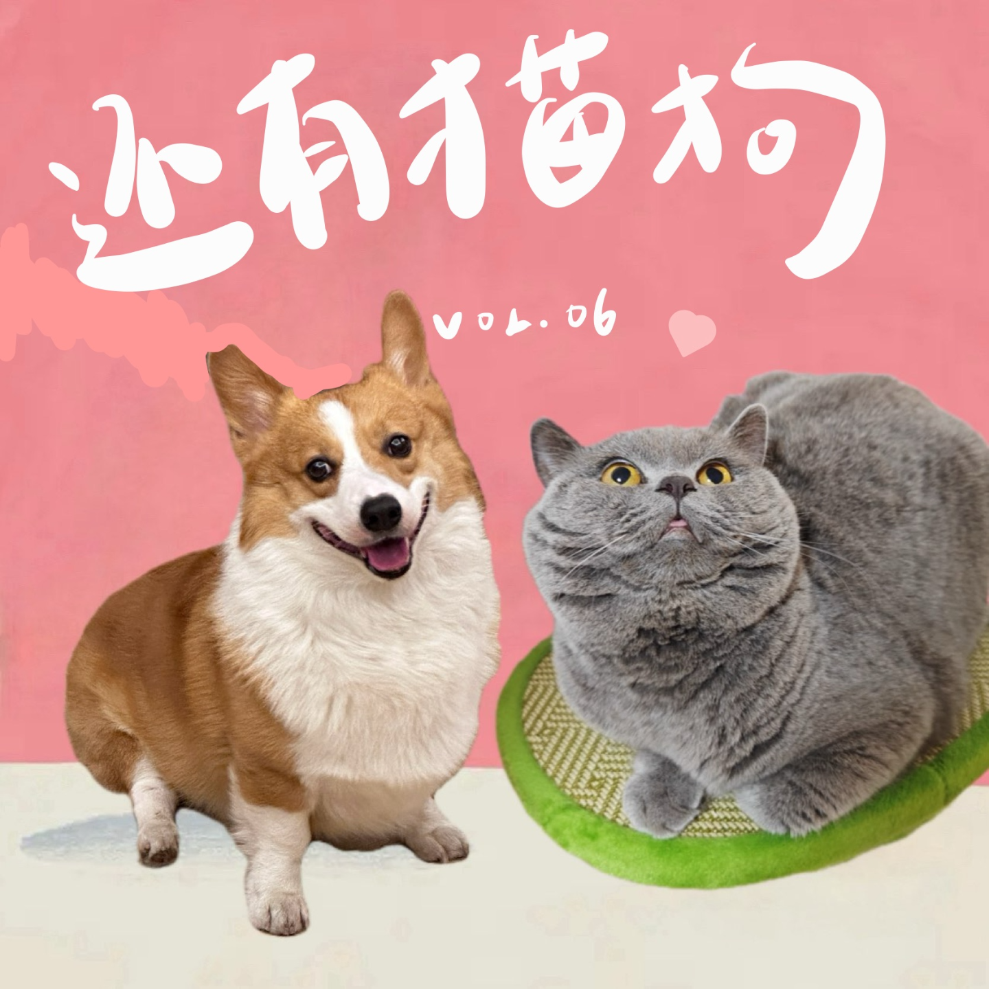 06 生活的苦，全被宠物治愈，湿漉漉、毛茸茸 episode artwork