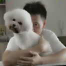 苏伟_k9Fk