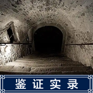 151.2008年奥地利囚禁案，电影《地牢女孩》原型