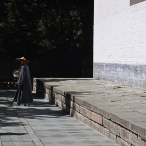 15 旅行小记之山西晋北:重走梁林路 寻迹古建之光