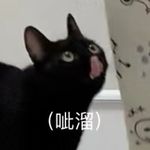 休可