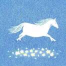 一朵向阳小白云