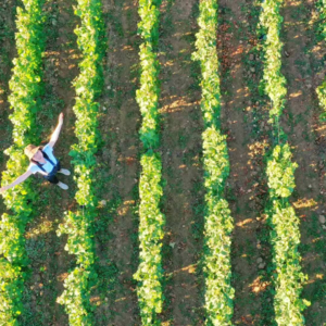 占星另一个视角认识自己 丨六分之一
