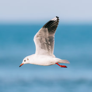 春城寻冬记|捕捉昆明温柔的冬日痕迹