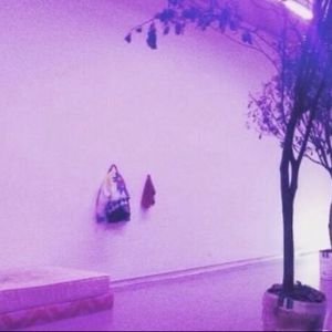 podcaster-avatar