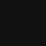 11YYYY