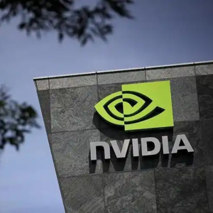 英伟达（NVIDIA） 全球AI芯片领域的绝对领导者