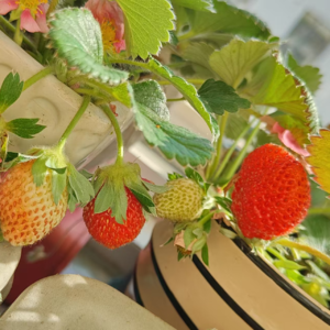 “穿越活板门”01期