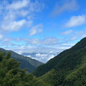 032 行业干货铺｜在自己的周期里，找到上行的成长路径