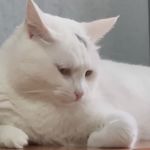 自行车兜风