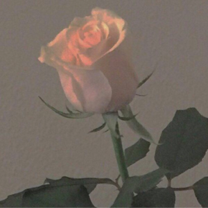 Vol.15 | A Whisper of Farewell