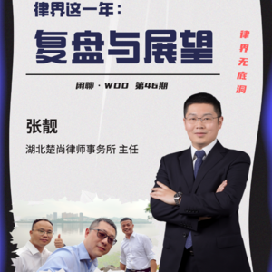 vol.46 律界这一年：复盘与展望