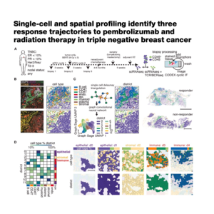 371-TNBC Response Trajectories