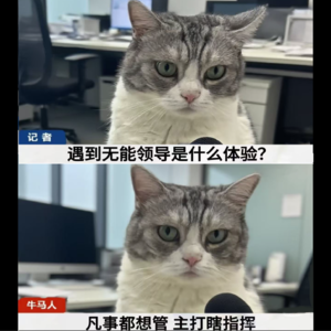 34.后续:我离开的不是职场,是老登俱乐部