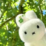 immmzy050824
