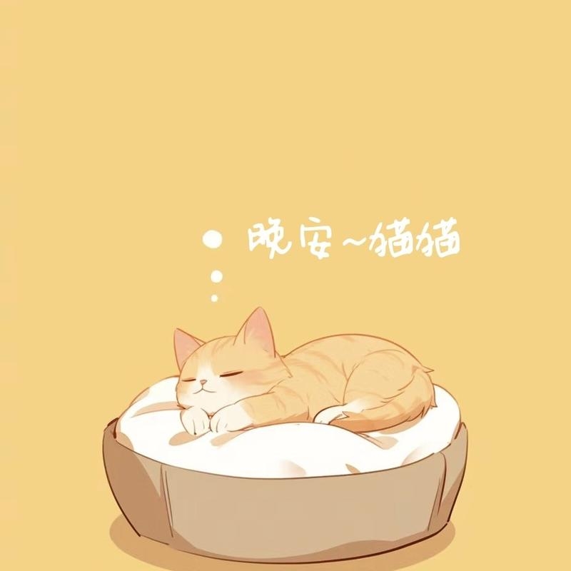 晚安猫猫的个人播客 | 小宇宙 - 听播客,上小宇宙