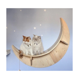 麦加朝觐的“洋穷游”悲剧