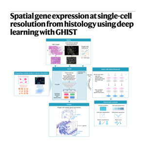219-GHIST: Spatial Gene Expression from Histology