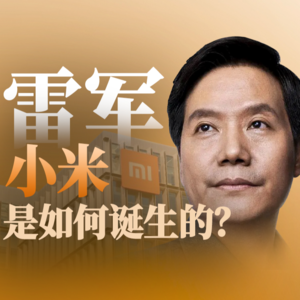E10.“四十岁觉得自己一事无成,所以创办了小米”【奔流·雷军】P2