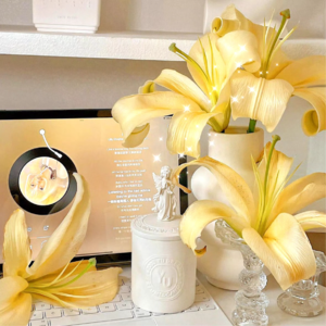 VOL430.不当作家，我很可能仍旧可以活下来。但我不确定，那样的话，我会不会幸福。