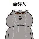 金币收集家