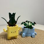先创建再播客