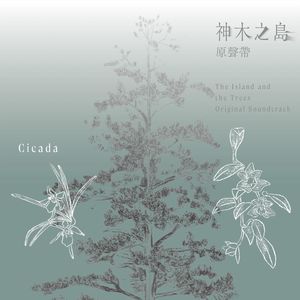 在「神木之岛」深处，聆听时间的回声