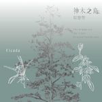 在「神木之岛」深处，聆听时间的回声