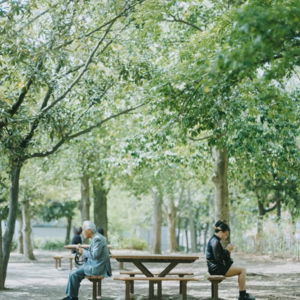 11 生活全是旧的,但我可以是崭新的