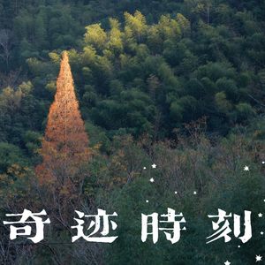 NO.39 向具体而微的生活里去 EP.5