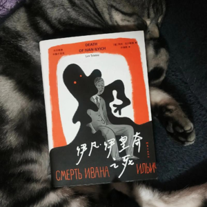 #99 狠书解构《伊凡伊里奇之死》人类文学史上描写死亡的巅峰神作，俄国作家和他们的作品多多少少有些精神疾病