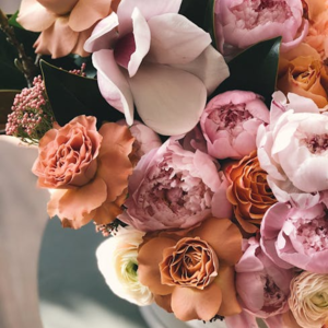 2025年5-8月｜Part 1 Flowers