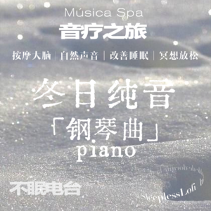 𝙋𝙡𝙖𝙮𝙡𝙞𝙨𝙩 ·冬日纯音Piano Stories |钢琴曲|冥想|专注|助眠|白噪音|自然|放松