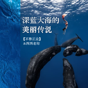 潜水教练西西：深蓝大海的美丽传说