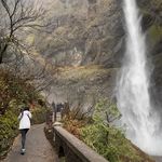 想当一只长颈鹿