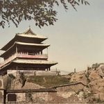 马牙嘎嘎枣