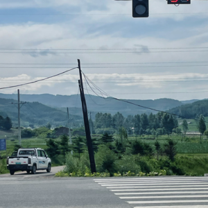 45.东北之旅【上】：味蕾与视觉的全面打开